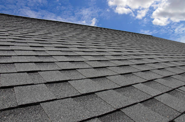 Best Emergency Roof Repair Services  in Ann Arbor, MI